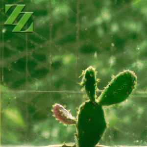 창문 너머 (.inst)