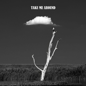 TAKE ME AROUND