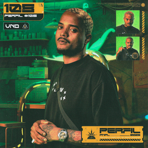 Perfil #108 – Árvores de Dinheiro