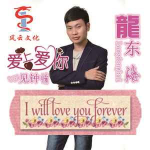 一见钟情爱上你