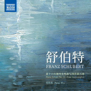 Four Impromptus, Op. 90, D. 899:No. 1 in C Minor