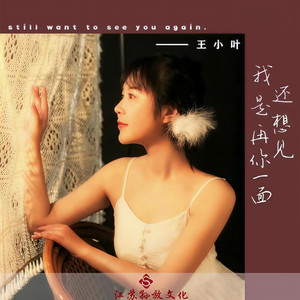 我还是想再见你一面