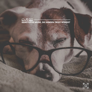 Beroligende musik til din hund, Pt. 7