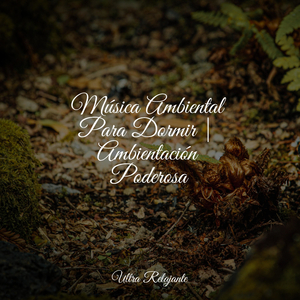 Tiempo de Sueño Profundo