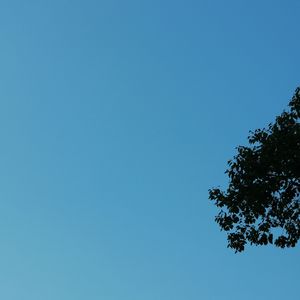 助眠轻音乐无杂音舒适度放松心情