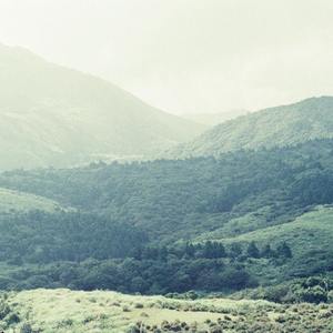 陶然四季（翻自 群星）