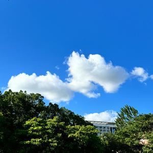 小孩 女声版（cover 罗森涛）.wav