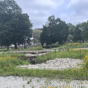 having conversations on the swingset at the playground