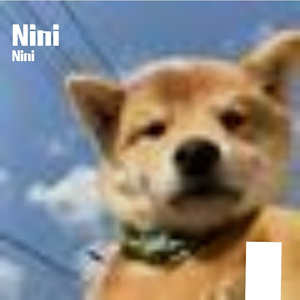 雨后青草上晃动的露珠之梦