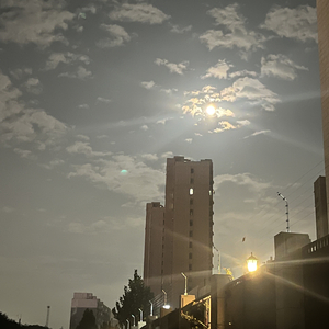 妄情局