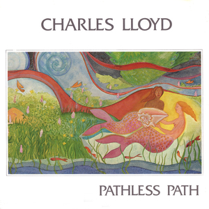 Pathless Path