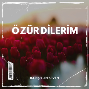 Özür Dilerim