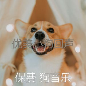 精彩小狗环境