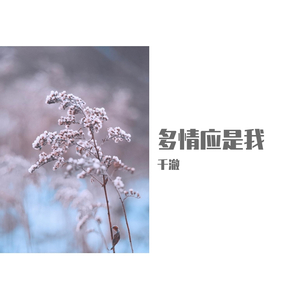 多情应是我（仙气女声版）