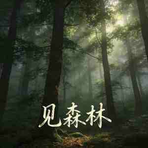 见森林