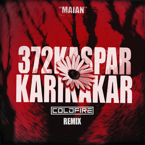 Karikakar (Remix / Radio Edit)