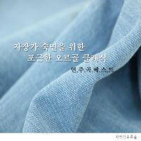 브람스 - 자장가 내림 마장조 작품번호 49-4(오르골)