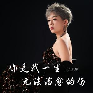 你是我一生无法治愈的伤