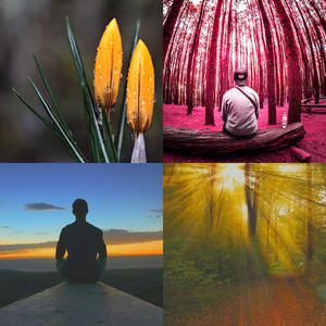 精彩水疗日环境