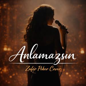Anlamazsın (Zafer Peker Cover)