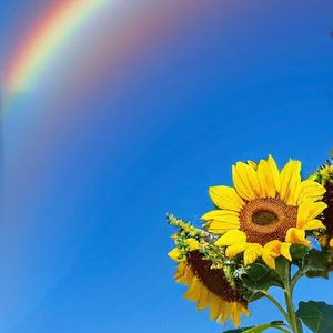 《灵动琴音点亮旅行Vlog》