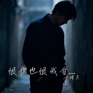 恨你也恨我自己