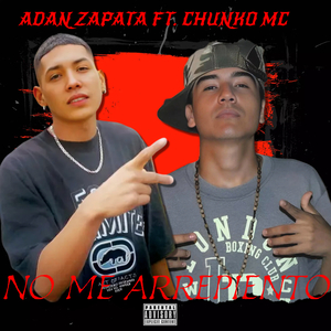 No Me Arrepiento