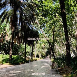 适合专注丰富的音乐