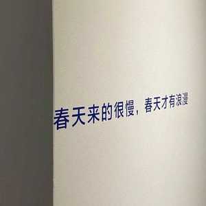 血统（live）Cover:Capper