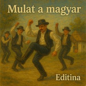 Mulat a Magyar (Radio Edit)