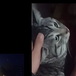 （《未得先失》崇高理想伴奏）