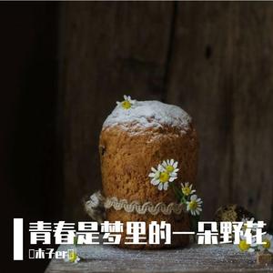 青春是梦里的一朵野花