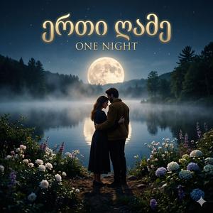 ერთი ღამე — One Night