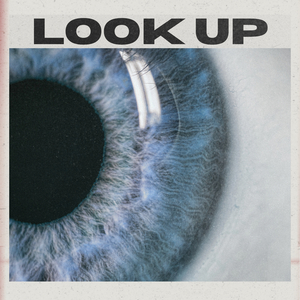 Look Up