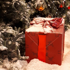 Schneefloeckchen Weissroeckchen