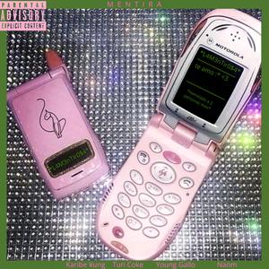mentira (feat. Young Gallo, Turi Coke, Karibe¥ung & L DEAL)