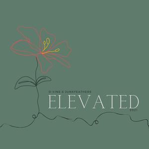 Elevated 2021 (feat. Junkfeathers)