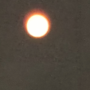 50流明(prod by Gr33nartbeat）