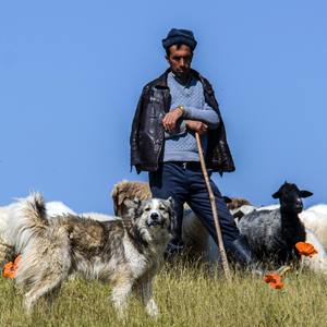 'Sheepman' - 牧羊人 Type Beat