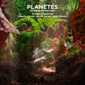 Seuls en mer, la patate magique