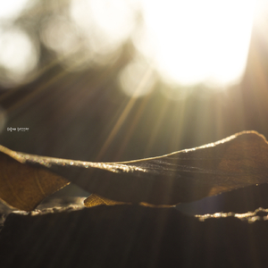 위로가 되었으면