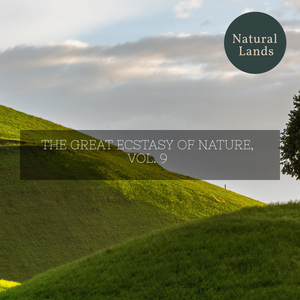 Falling Autumn Leaves