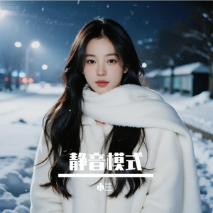 静音模式