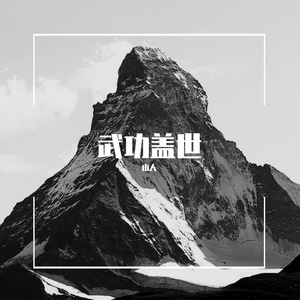 武功盖世