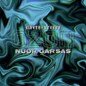 OZON (Slowed & Reverb)