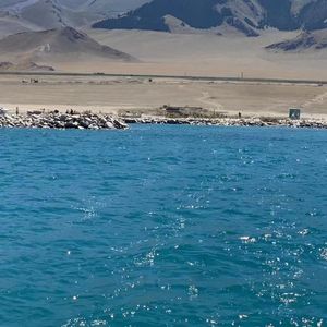 阿拉斯加海湾