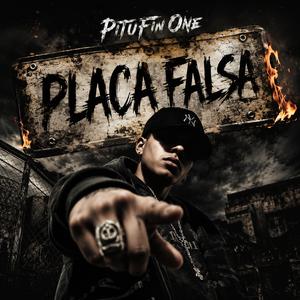 Placa falsa