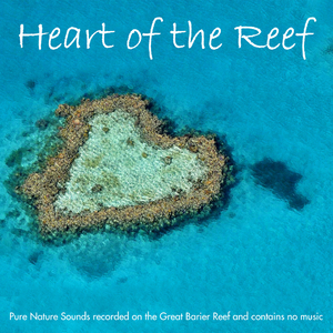 Secluded Seashore Hideaway