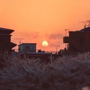 春娇与志明（合唱版）