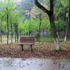 那些花儿（江农版）（翻自 LiJieyuan.）